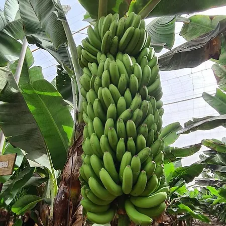 Parque Albatros 118 Appartamento