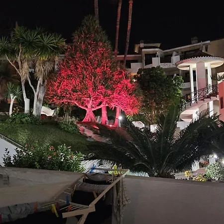 Parque Albatros 118 San Miguel de Abona