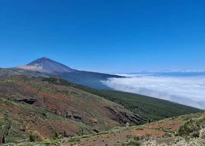 Parque Albatros 118 Lejlighed San Miguel de Abona
