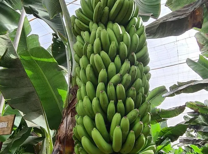 Parque Albatros 118 Lejlighed