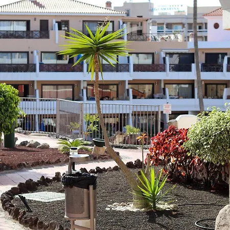 Parque Albatros 118 * 圣米格尔德阿沃纳