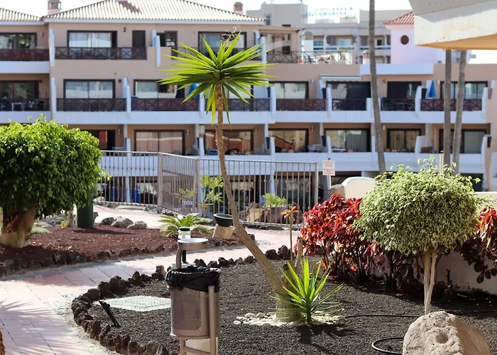 Parque Albatros 118 * San Miguel de Abona